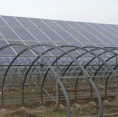 High Humidity Single-Arch Greenhouse with Arched/Venloche Roofing Shape and Solar Panels