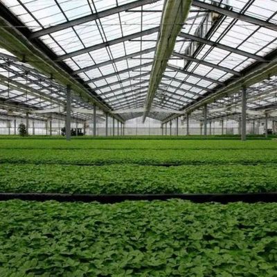 High Humidity Single-Arch Greenhouse with Arched/Venloche Roofing Shape and Solar Panels