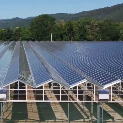 High Humidity Single-Arch Greenhouse with Arched/Venloche Roofing Shape and Solar Panels