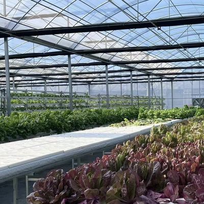 Commercial Greenhouse with Cocopeat Soil Package Size 50.00cm * 60.00cm * 50.00cm