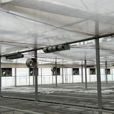 Multi-Span Greenhouse for Vegetable Production US 20/Square Meter Min. Order Samples