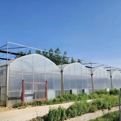Vegetable Production Po Film Greenhouse with Shading System and 30 Days Return refunds