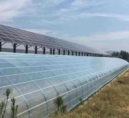 PE/Po Plastic Film Photovoltaic Greenhouse Innovation 1209.00cm * 235.00cm * 239.00cm