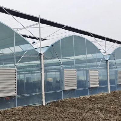Vegetable Production Po Film Greenhouse with Shading System and 30 Days Return refunds