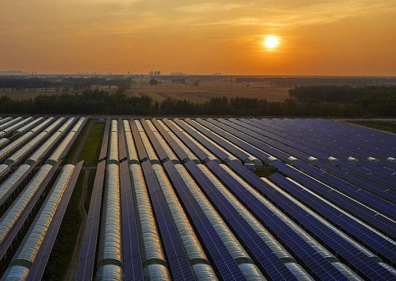 Customization Multi-Span Arch Type Cucumber Lettuce Photovoltaic Greenhouses jx-SG-20