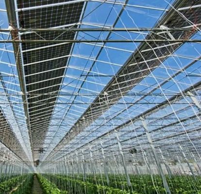 Customization Multi-Span Arch Type Cucumber Lettuce Photovoltaic Greenhouses jx-SG-20