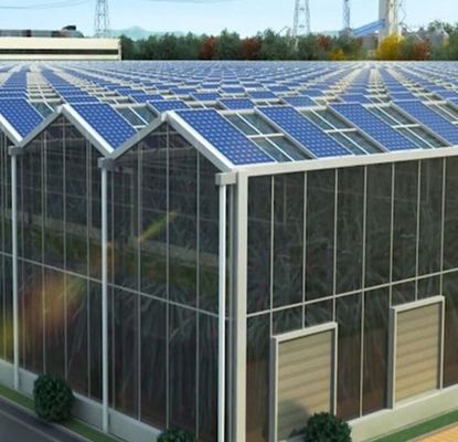 Customization Multi-Span Arch Type Cucumber Lettuce Photovoltaic Greenhouses jx-SG-20