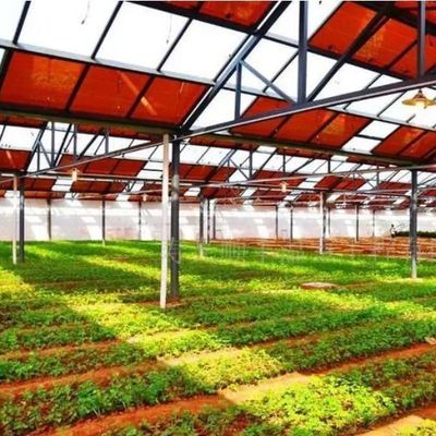 Steel Structure Greenhouses Energy- jx-SG-21 Thermal Insulation Technology with Standards