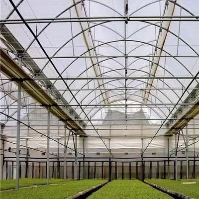 Package Size 50.00cm * 60.00cm * 50.00cm Multi Span Greenhouse with Drip Irrigation