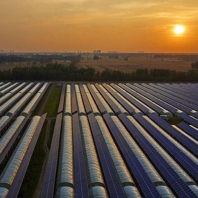Hydroponic Ventilation Photovoltaic Greenhouses 6/9 and 6/12 Meters for Crop Production