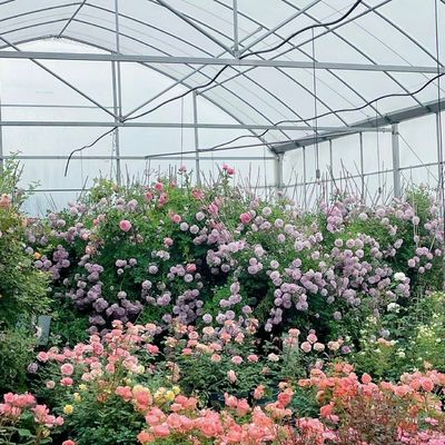 Greenhouse with Shading System Package Size 50.00cm * 60.00cm * 50.00cm Currency US