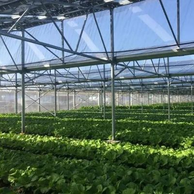 Innovative Single/Multi Span Photovoltaic Commercial Greenhouses for Sustainable Growth
