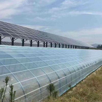 Innovative Single/Multi Span Photovoltaic Commercial Greenhouses for Sustainable Growth