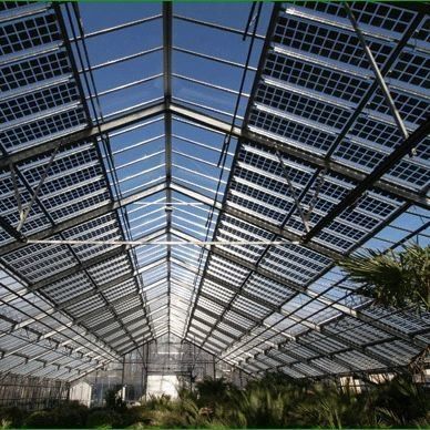 Heat Storage Single-Arch Commercial Photovoltaic Greenhouses Long-Lasting Performance