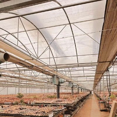 Vegetable Production Po Film Greenhouse with Water Pipe System and Low Shipping Cost