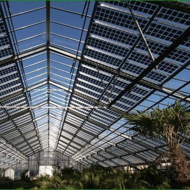 Commercial Photovoltaic Greenhouse with Film Cover Material and Unheated Heating