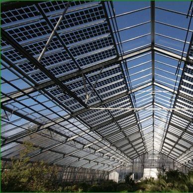 Commercial Greenhouse PE/Po Plastic Film Photovoltaic System for Sustainable Farming