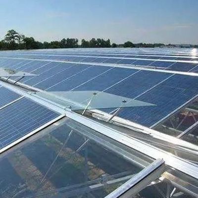Commercial Greenhouse PE/Po Plastic Film Photovoltaic System for Sustainable Farming