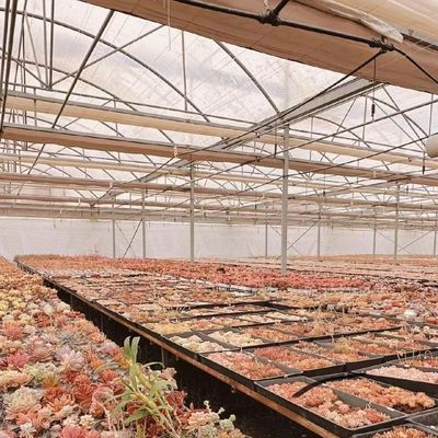 Multi-Span Tunnel Po Film Greenhouse 30 Days Return Refunds US Currency Greenhouse