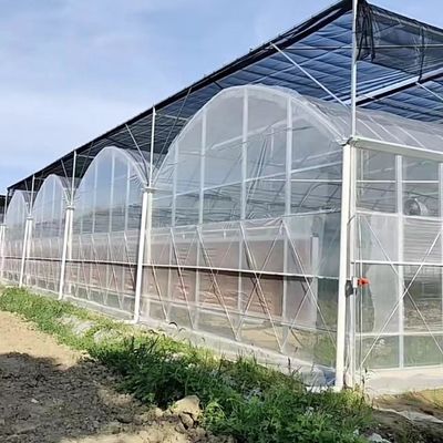 Multi-Span Tunnel Po Film Greenhouse 30 Days Return Refunds US Currency Greenhouse