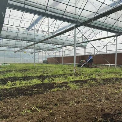 Multi-Span Tunnel Po Film Greenhouse 30 Days Return Refunds US Currency Greenhouse