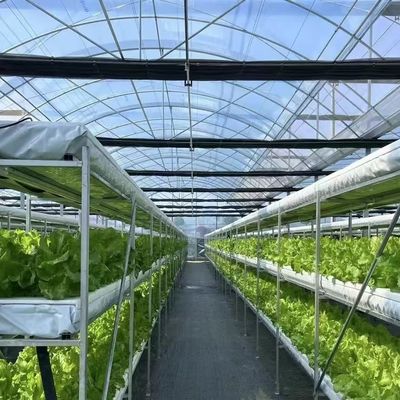 Multi-Span Tunnel Po Film Greenhouse 30 Days Return Refunds US Currency Greenhouse