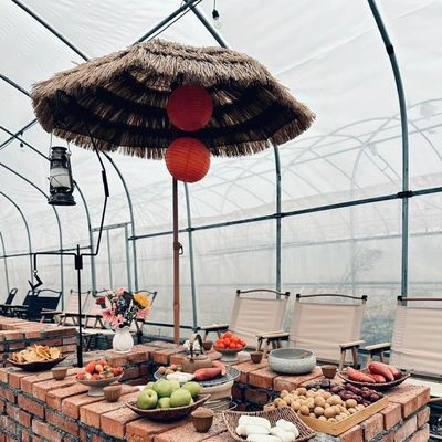 Steel Structure Large Advand Shading Greenhouse for Hydroponics Growingce Large Size