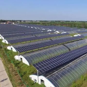 Multi-Span Design Innovative Solar Greenhouse for Initial Payment and Commercial