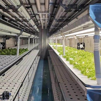 Shipping Container Greenhouse for Mushroom Cultivation in Smart Design JX-CG-0001