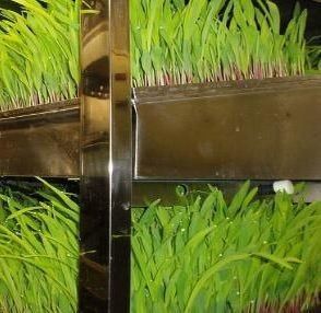Multi-Functional Container Forage for Double Layer Flower/Vegetable/Seed Breeding