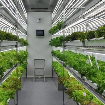 Shipping Cost and Estimated Delivery Time Container Greenhouses for Leafy Vegetables
