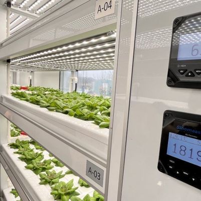 Shipping Cost and Estimated Delivery Time Container Greenhouses for Leafy Vegetables
