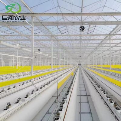 Steel Structure Vertical Farming Container Greenhouse with Multi-Span Hydroponic System
