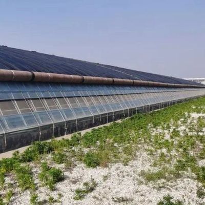 Plastic Greenhouse Department Multi-Span Po/PE Commercial Greenhouse with Hydroponics