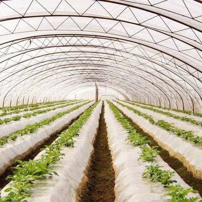 Plastic Greenhouse Department Multi-Span Po/PE Commercial Greenhouse with Hydroponics