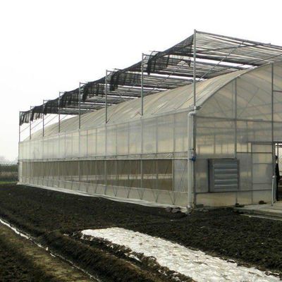 Plastic Greenhouse Department Multi-Span Po/PE Commercial Greenhouse with Hydroponics