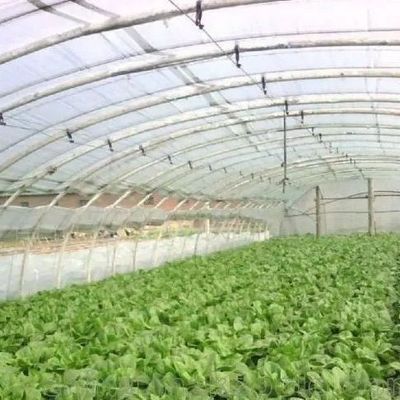 Plastic Greenhouse Department Multi-Span Po/PE Commercial Greenhouse with Hydroponics