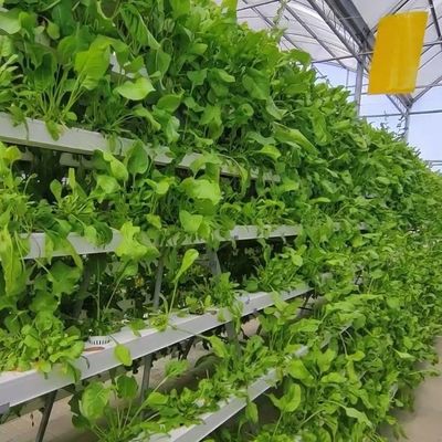2000.000kg Package Gross Weight Commercial Greenhouse for Hydroponics Climate Controlled