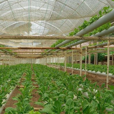 2000.000kg Package Gross Weight Commercial Greenhouse for Hydroponics Climate Controlled