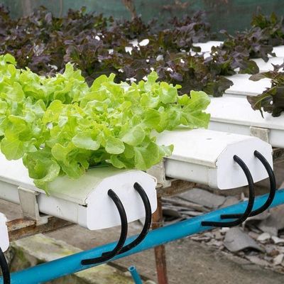 2000.000kg Package Gross Weight Commercial Greenhouse for Hydroponics Climate Controlled