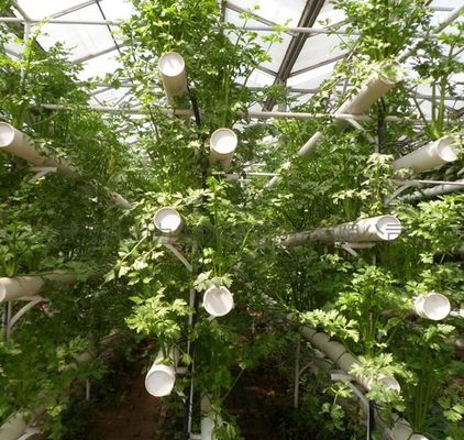 Temporary Heating Hydroponic Film Greenhouse with Humidity Control System JX-FG-212