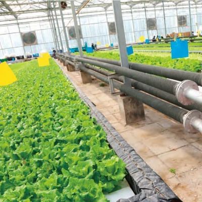Temporary Heating Hydroponic Film Greenhouse with Humidity Control System JX-FG-212