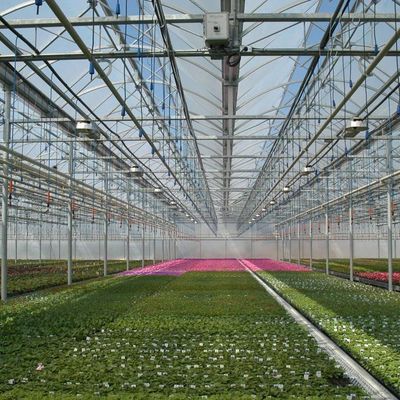 Temporary Heating Hydroponic Film Greenhouse with Humidity Control System JX-FG-212
