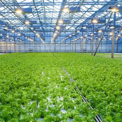 Temporary Heating Hydroponic Film Greenhouse with Humidity Control System JX-FG-212