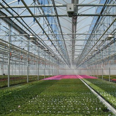 0.15/0.20mm Po/PE Film Covered Multi Span Greenhouse Temporary Heating