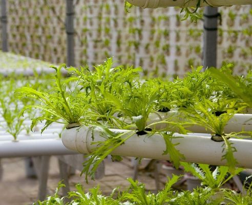 Po/PE Film Hydroponic Greenhouse For Vegetables Double Layer