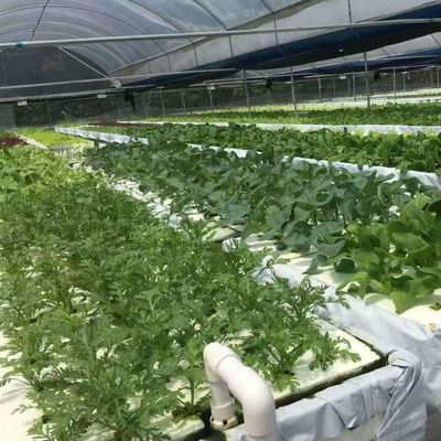 Po/PE Film Hydroponic Greenhouse For Vegetables Double Layer