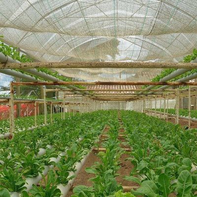 Double Layer Commercial Film Greenhouse System for Humidity Management in Greenhouses