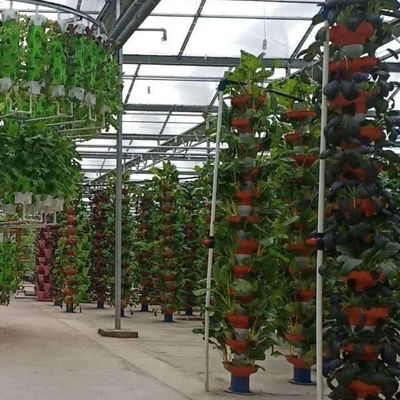 Suitable Seedling Cultivation Budget-Friendly Film Greenhouse with Plastic Sheet Cover