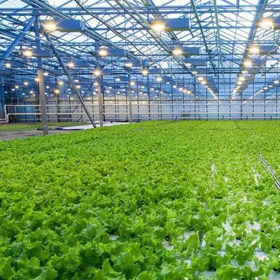 Soilless Technology and Temporary Heating Vegetable Cultivation Greenhouse 2000.000kg